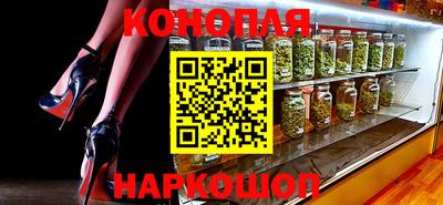 стафф Гудермес