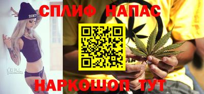 стафф Гудермес