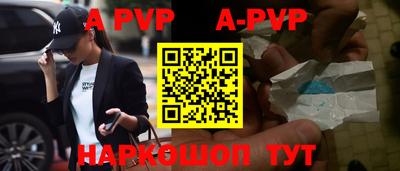 стафф Гудермес